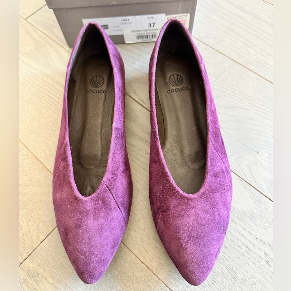 Coclico Women's Purple Suede Flats